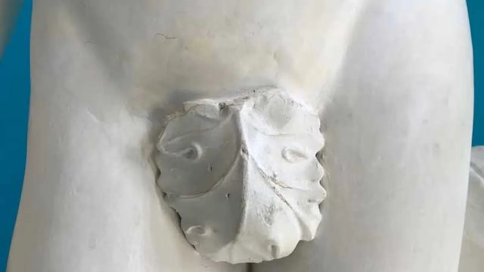 Fig leaf that was removed from a statue of Adonis